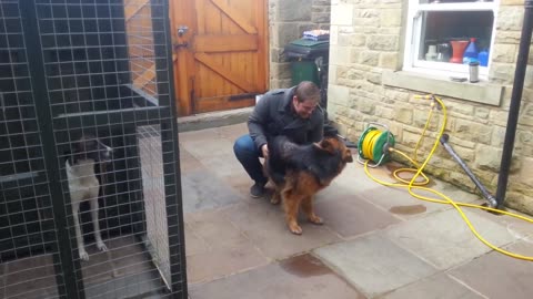 "Dog seeing its owner after years apart."