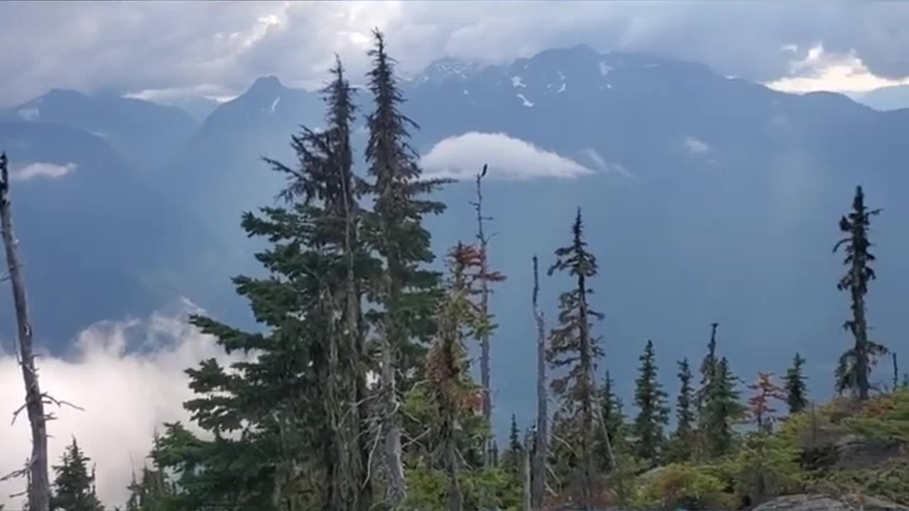 Crest Mountain Hike (Stunning Views) #shorts #outdoor #mountains #hiking #beautiful