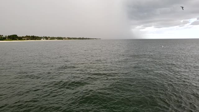 Naples Florida