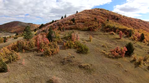 2021 Utah Autumn Colors via Drone