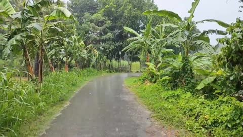 Rain, Village Area