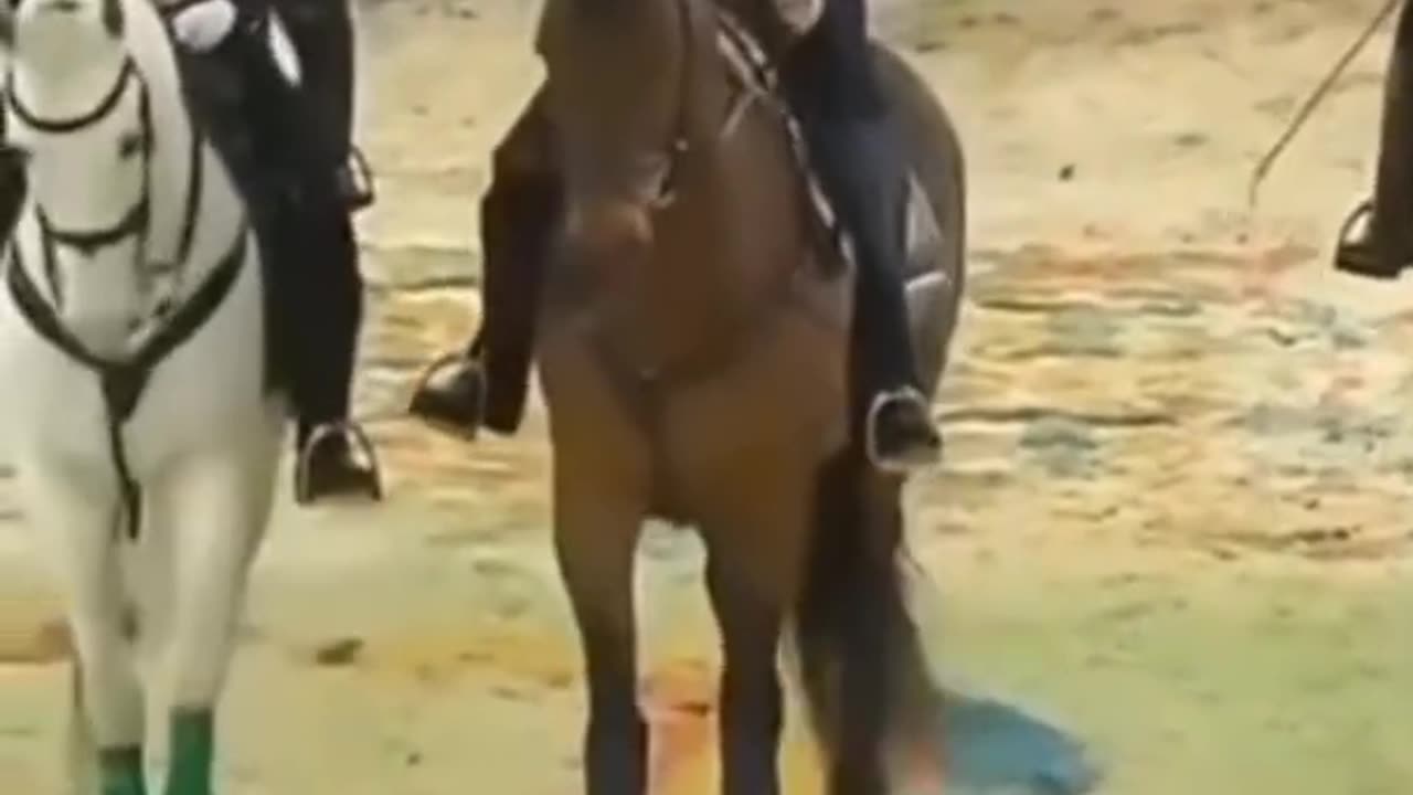 Putin riding stallion