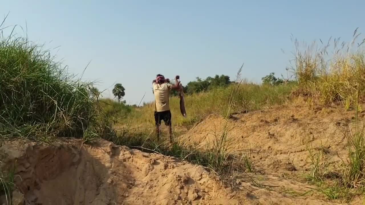 Unbelievable Fishing Technique Best Underground Catfish Come Out With Big Chicken In River Side Hole