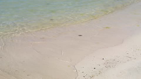 Small waves caressing the sand of a sunny beach