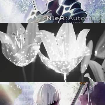 Nier's new anime looks amazing!