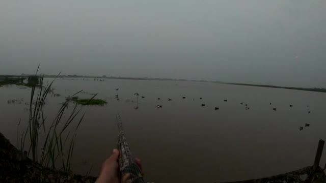 Duck Hunting Best Hunting Shoot