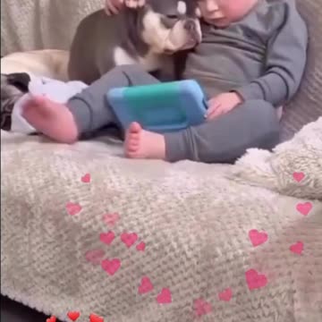 Best Friends from BIRTH Capture Heartwarming Baby and Dog Moments