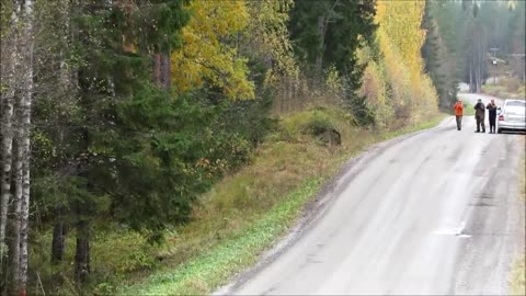 Bear charge