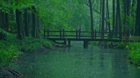 The beautiful little river is raining, sleep, relax, meditate, study, work, ASMR