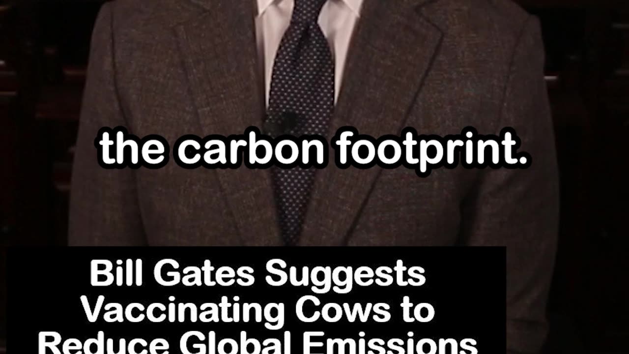 Bill Gates Wants to Give Shots to Cows to Reduce Global Emissions