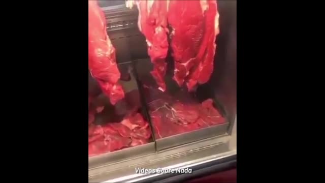 COMO QUE VOCÊS CONSEGUEM COMER CARNE?