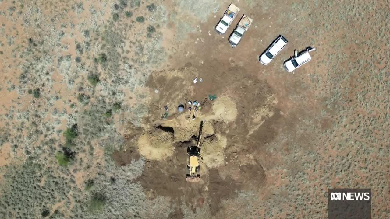 Australia's first complete plesiosaur fossil discovered in outback Queensland ABC News