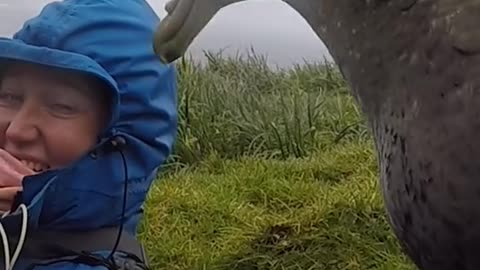 Giant bird makes friends with biologists