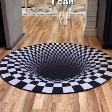 Dogs funny reaction to entering optical illusion rug! #shorts