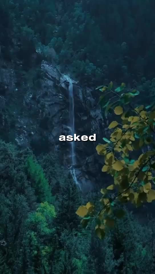 The Realisation - Ask Yourself #muftmenk #muslim #islam #allah #paradise #heaven #faith #believe