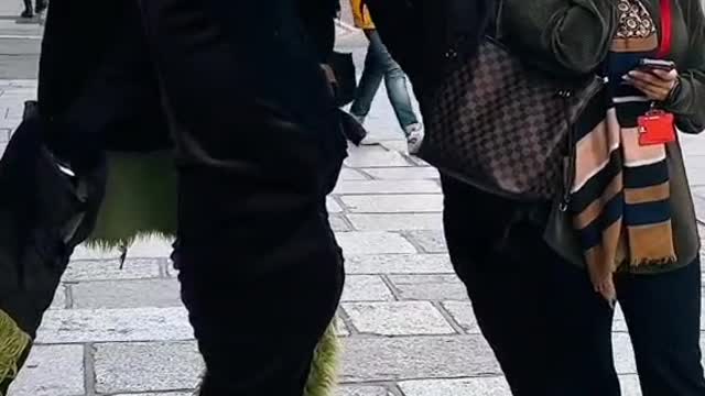The passer-by had a lot of nerve