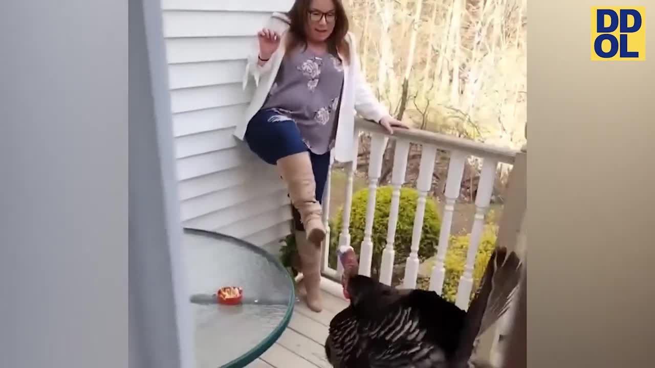 FAILS and PRANKS That Will Make You Cry