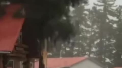 Lightning Strikes A Home and Car , Tree