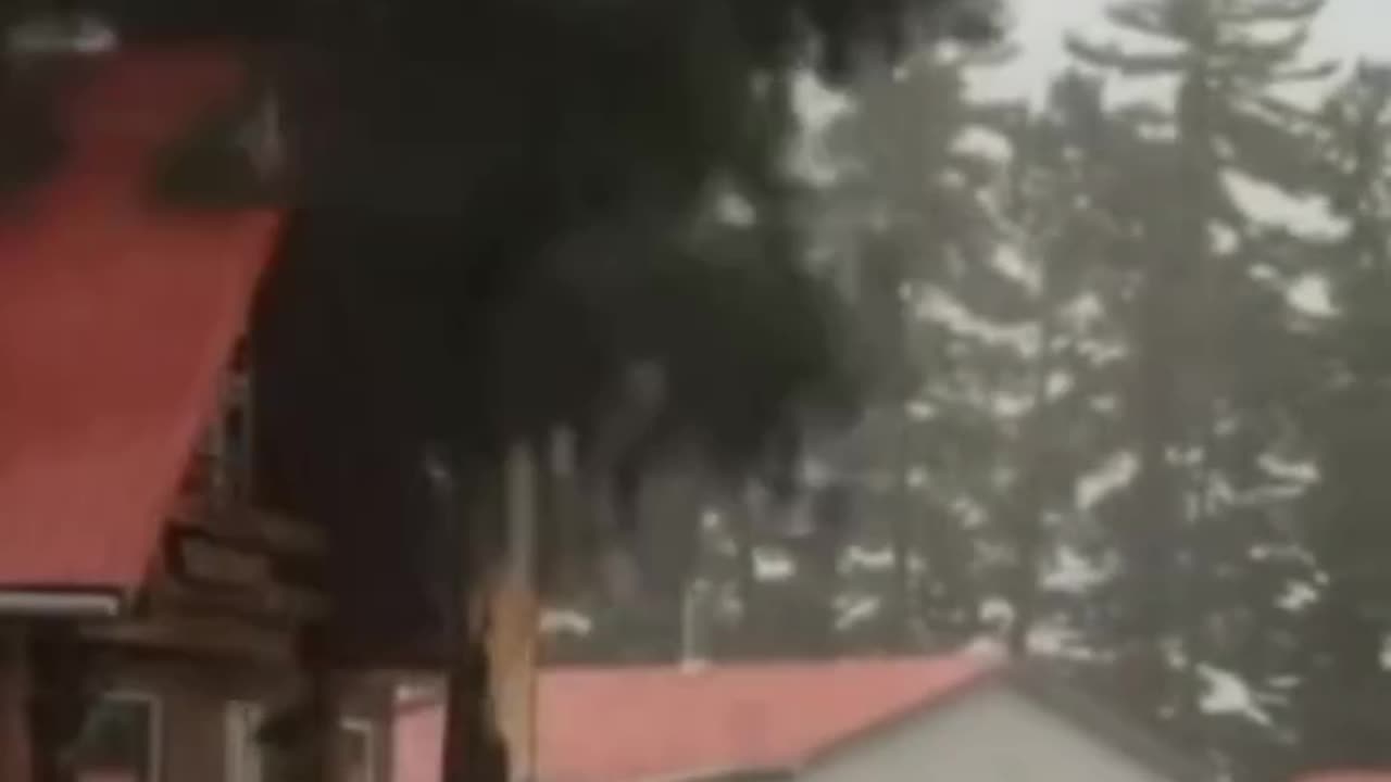 Lightning Strikes A Home and Car , Tree