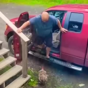 Funniest oops moments compilation | Best fails of the week | instant regrets #fails