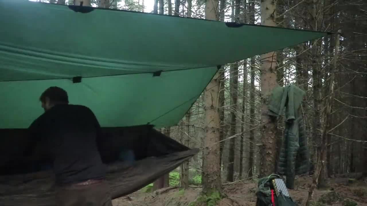 Solo Hammock Camping and Cast Iron Cooking | Bushcraft & Mushroom Foraging