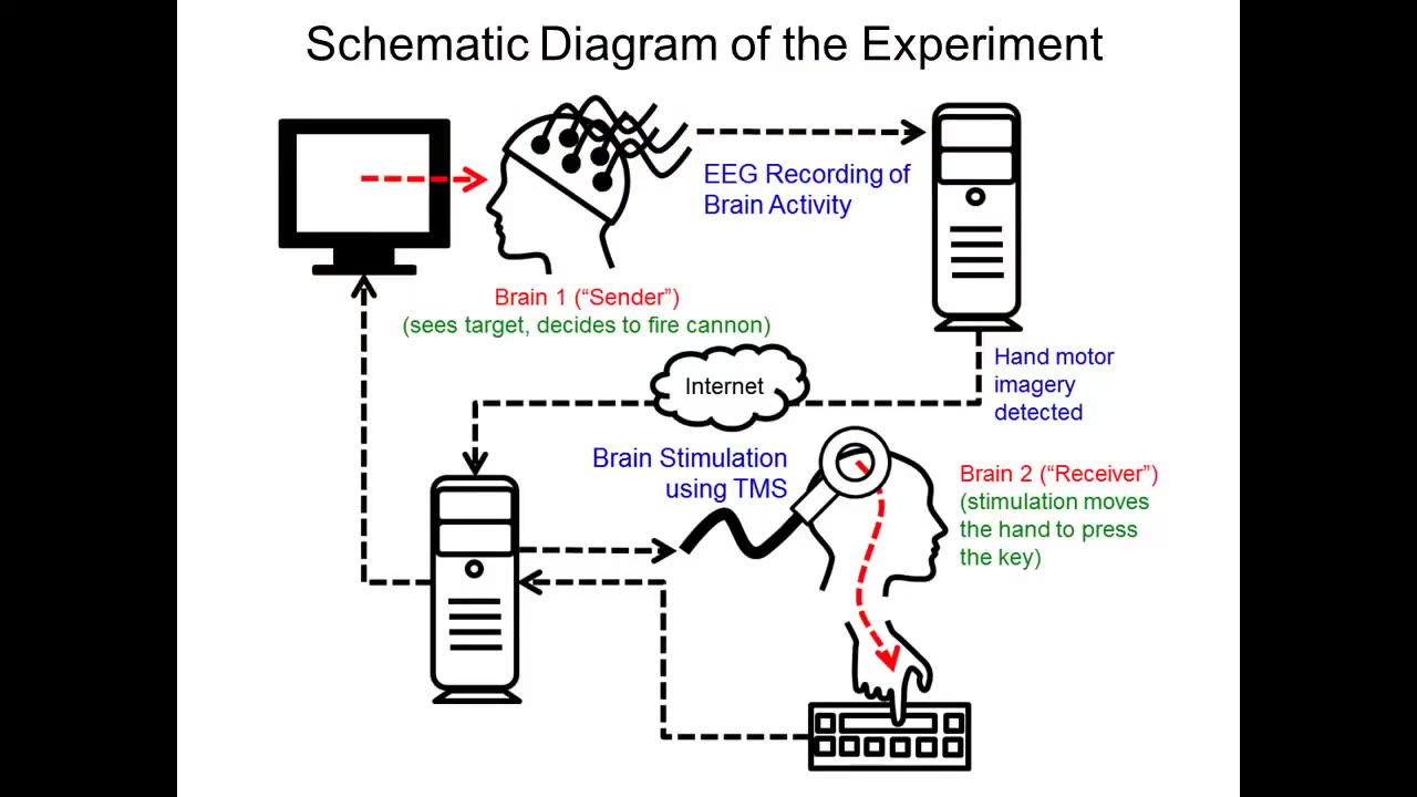 Direct Brain-to-Brain Communication in Humans: A Pilot Study - U.W. neural systems (2013)