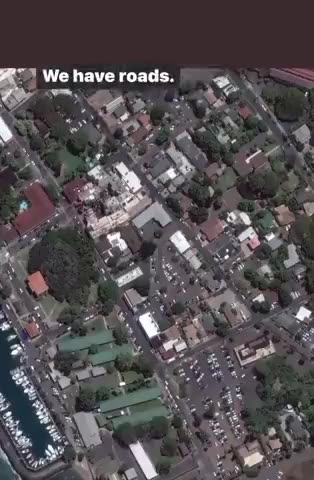 THE STRUCTURES IN MAUI ARE BURNED BUT THE TREE'S REMAIN - IT WAS A DIRECTED ENERGY ATTACK