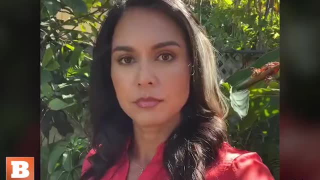 Tulsi on Rittenhouse: If the Government Had