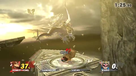 Super Smash Bros 4 Wii U Battle385