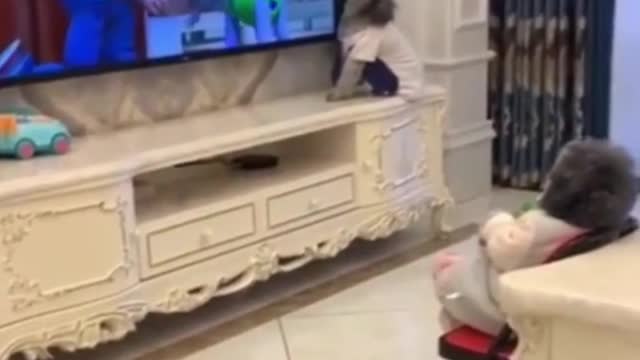 Dog Boss