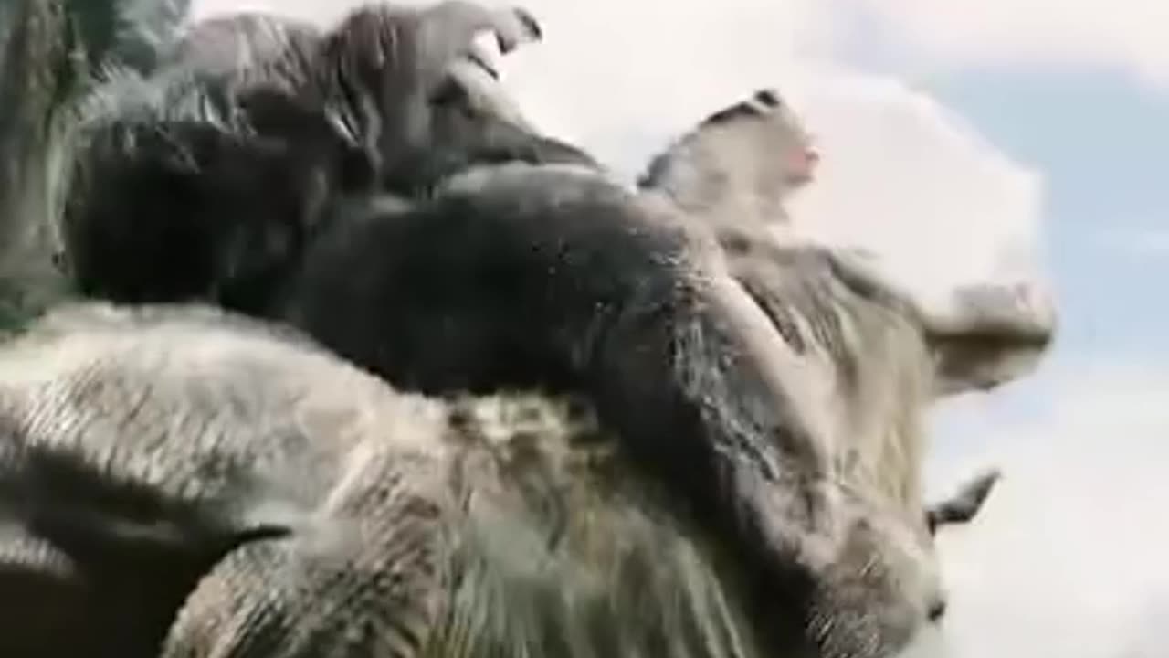 Father and daughter wrong turn🤯😱