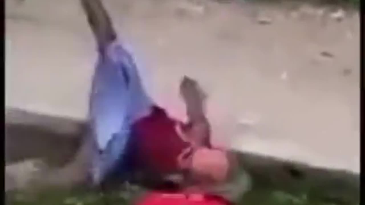 Funny Video