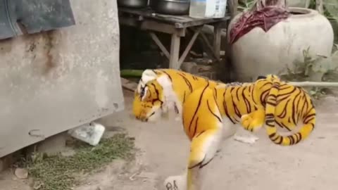 Funny Fake Lion and Fake Tiger Prank