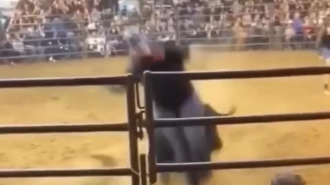 The end # viral #shots funny #fails #humorfolder