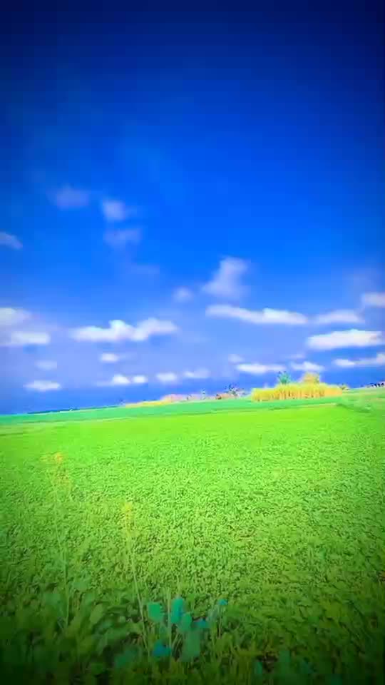 New WhatsApp status love video watch 💕😘