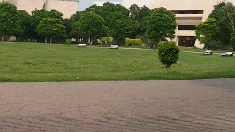 university life , pakistan