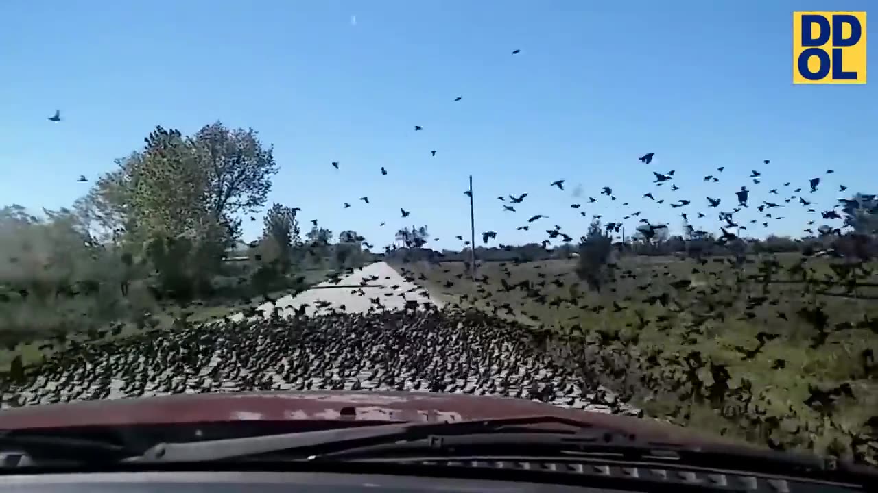 TRY NOT TO LAUGH WATCHING FUNNY FAILS VIDEOS 2022