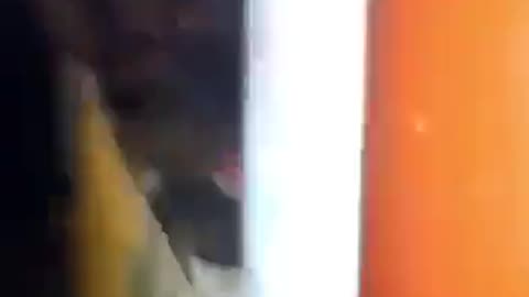 CUBA - MANIFESTAZIONE CONTRO IL GOVERNO.