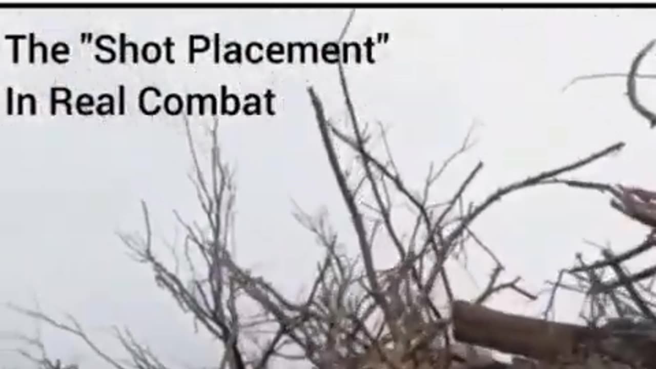 Shot Placement Is A Myth