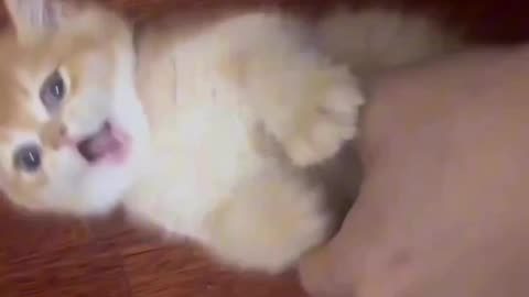 How cute 🥰
