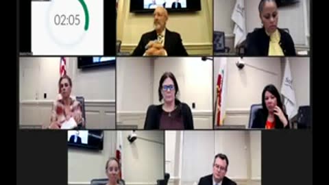 DEI explained to Woke Santa Cruz City Council 2.28.23