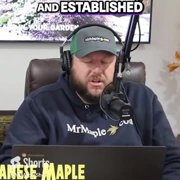 The Best Fertilizer Tips for Japanese Maples Establishing Healthy Growth #gardening #podcast