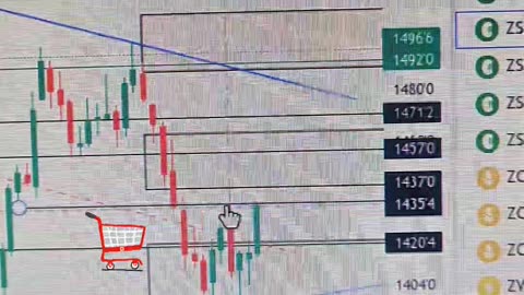 Video sobre el mercado de soja