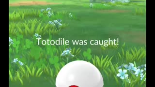 Pokémon GO-Shadow Totodile