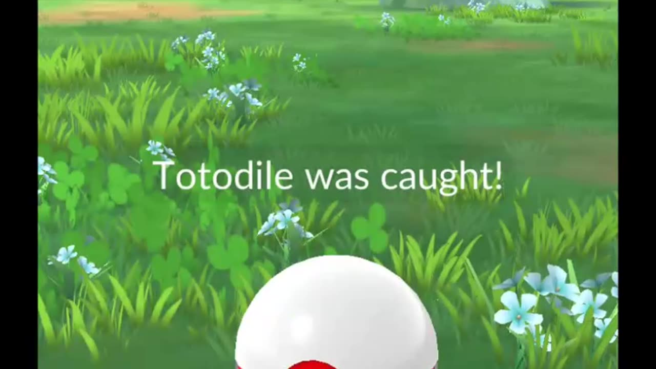 Pokémon GO-Shadow Totodile