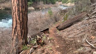 The Incredible Metolius River – Central Oregon