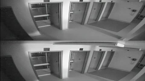 1704CRIB01CribAnalysisArea_2021-01-06_09h40min03s103ms.mp4