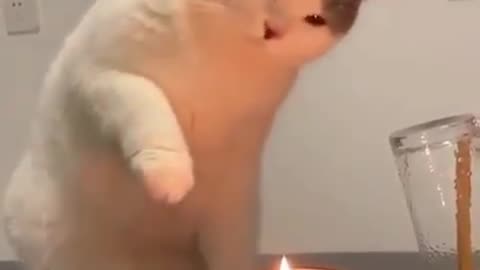 First time Experience with Candles