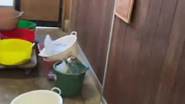 2022-11-12 Dinner time