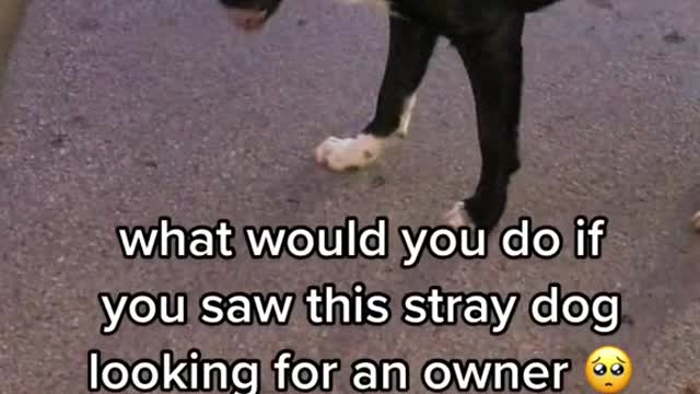 menaced by some invisible danger